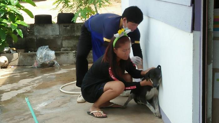 โครงการสัตว์ปลอดโรค คนปลอดภัยจากโรคพิษสุนัขบ้า 2563  